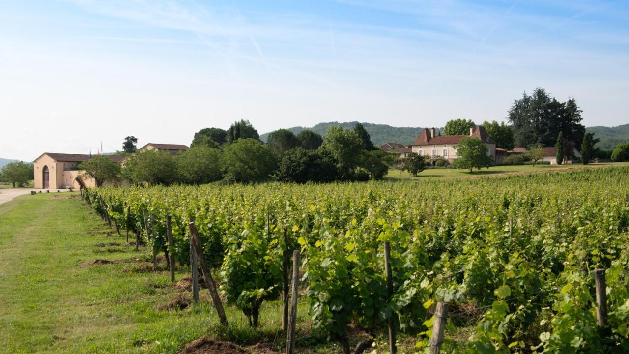 Chateau Gautoul Puy-lʼÉvêque Kültér fotó